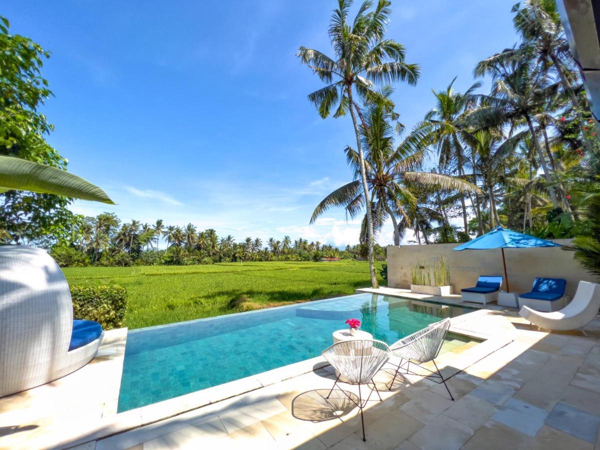 Villa Balinese Luxurious Elegance 乌布 外观 照片