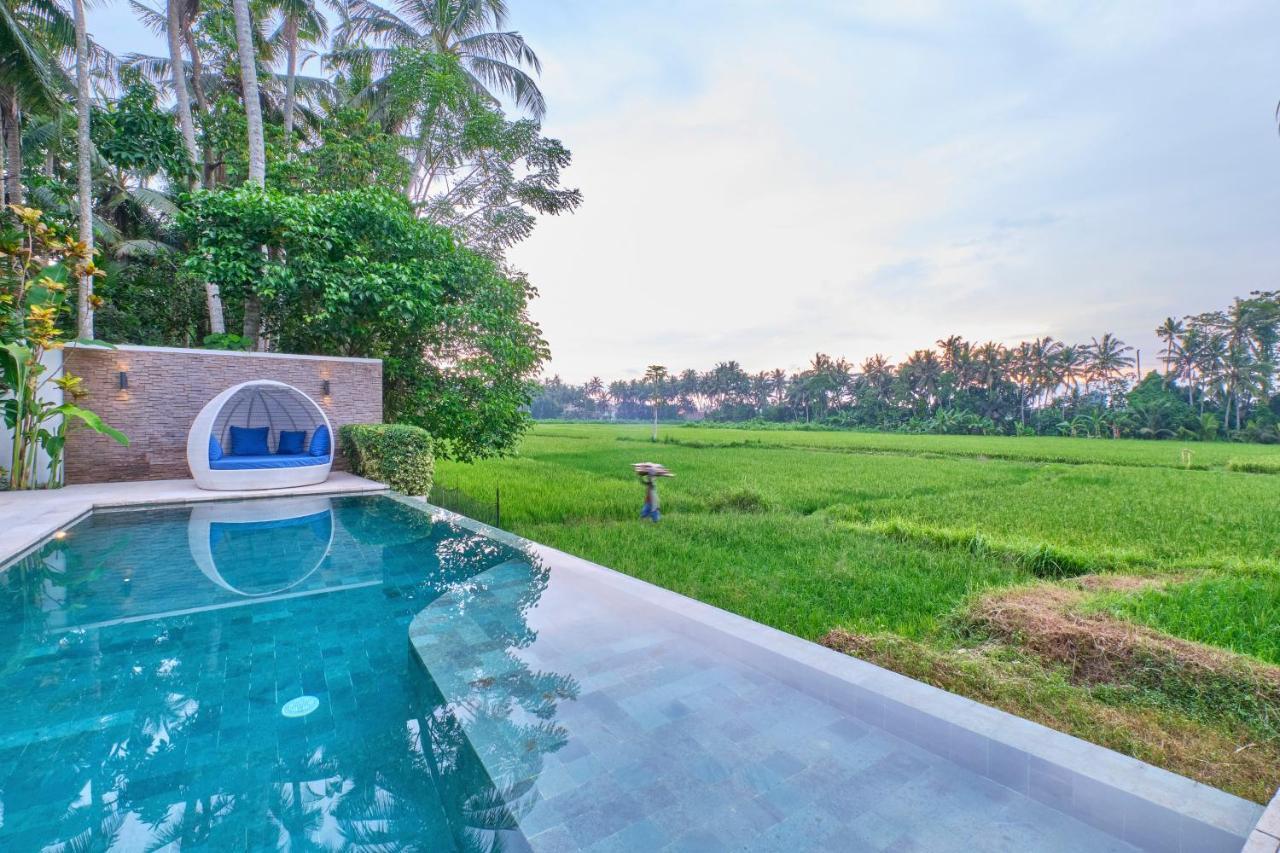 Villa Balinese Luxurious Elegance 乌布 外观 照片