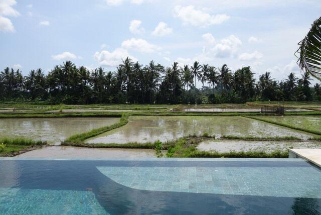 Villa Balinese Luxurious Elegance 乌布 外观 照片